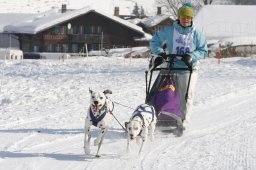 Lenk 2012 SM
